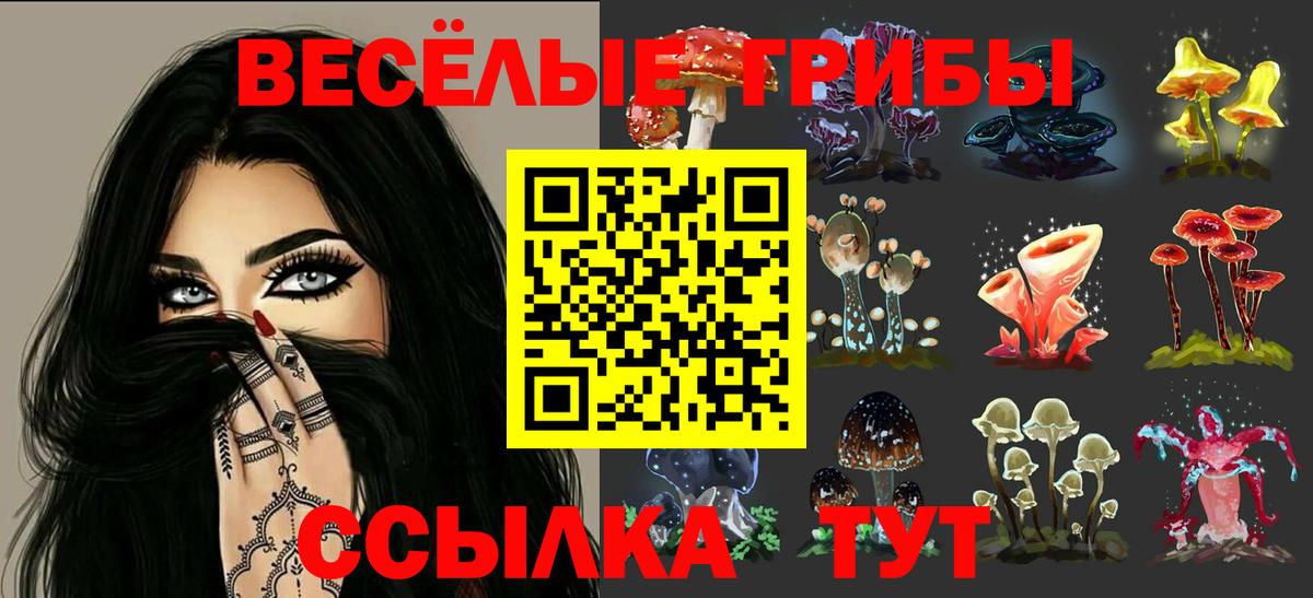Псилоцибиновые грибы прущие грибы  Псилоцибиновые грибы Psilocybine cubensis  закладка  Вход с VPN  Протвино 