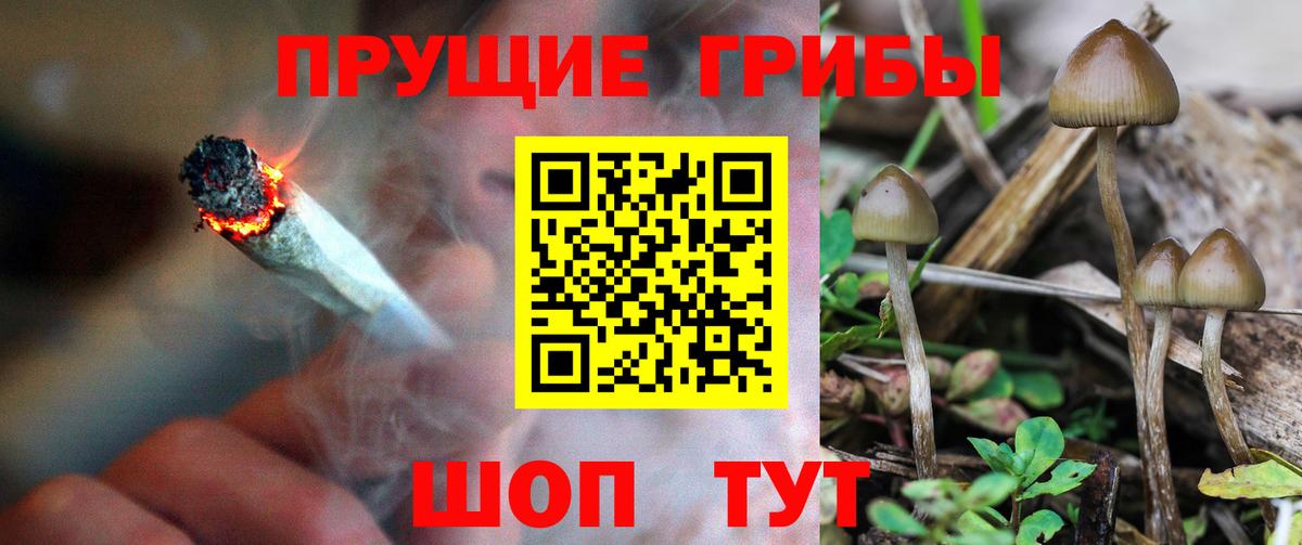 Галлюциногенные грибы Magic Shrooms Протвино